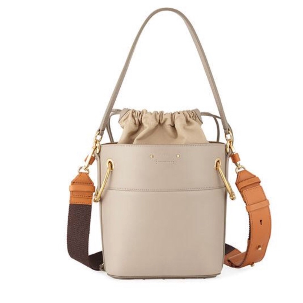 Chloe Roy small leather bucket bag